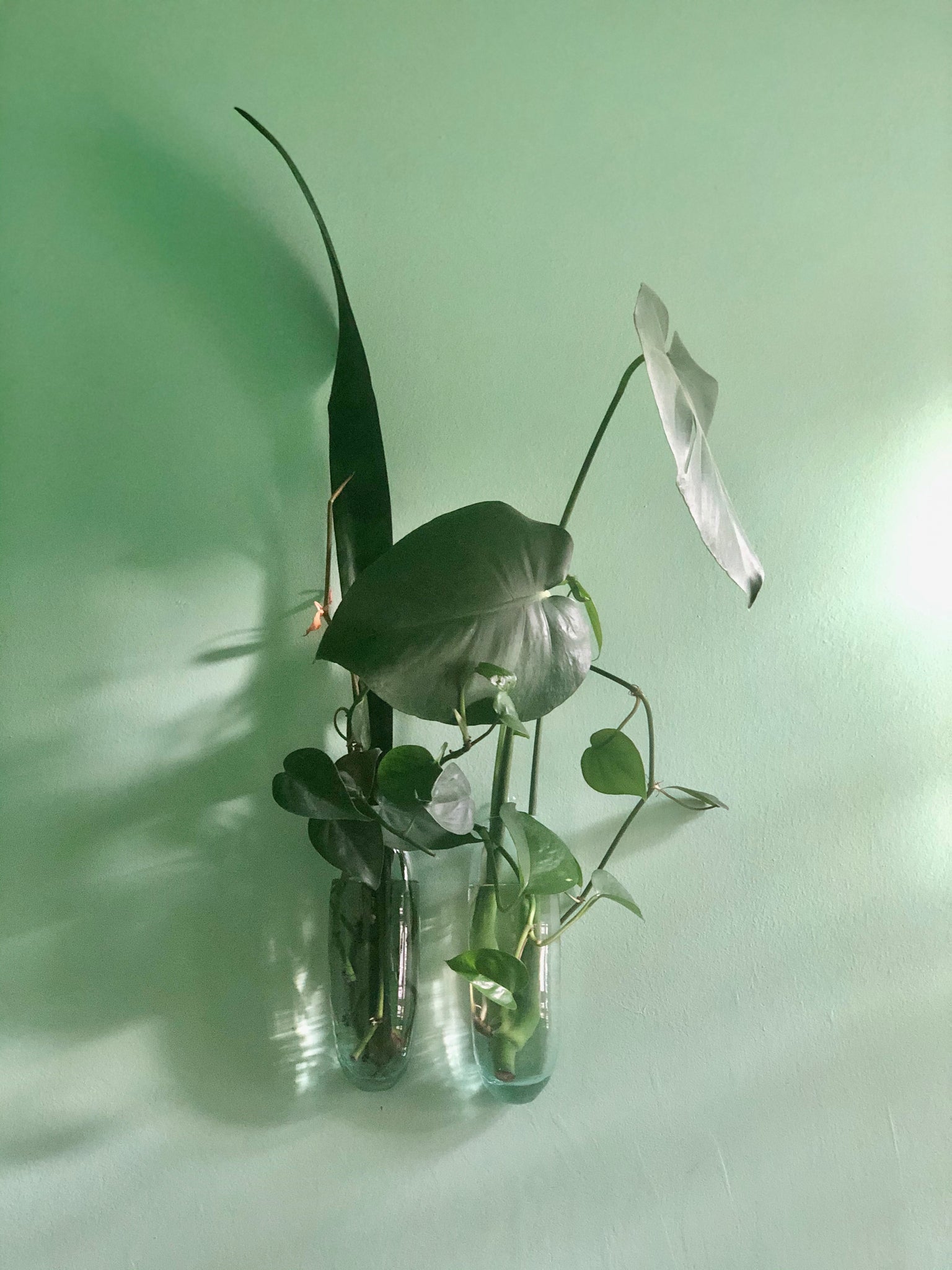 Glass wall vase